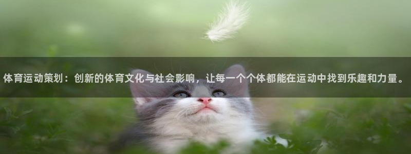 米兰体育官方正版app官方：体育运动策划：创新的体育