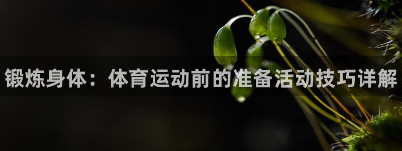 米兰体育官网下载招商电话地址：锻炼身体：体育运动前的准备活动
