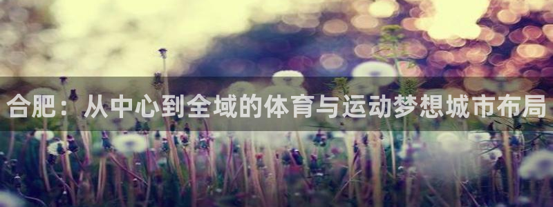 米兰体育官网下载平台是正规平台吗安全吗：合肥：从中心