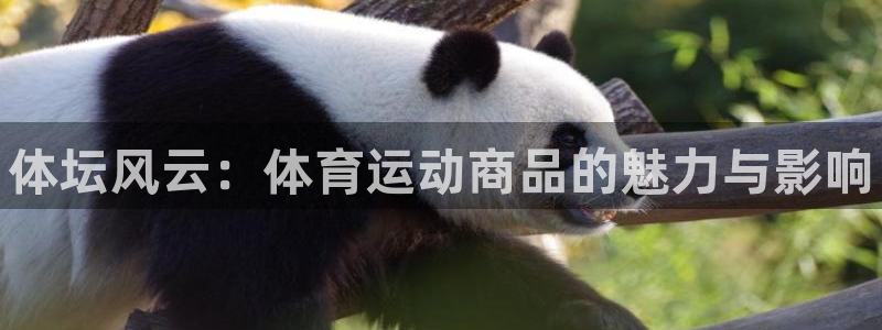 米兰体育官方正版app集团logo：体坛风云：体育运动商品的
