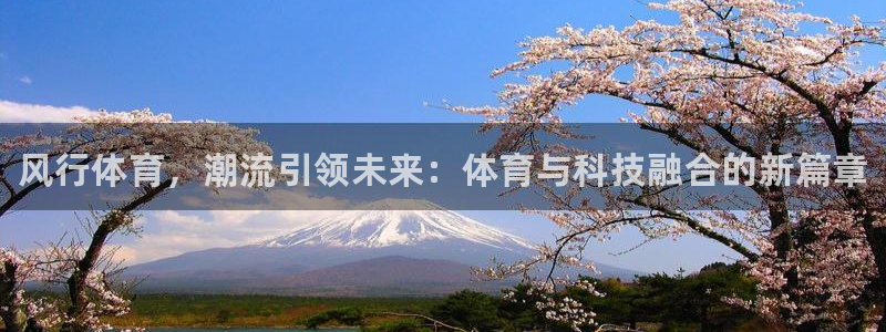 米兰体育官网下载招商电话号码查询是多少：风行体育，潮