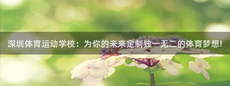米兰体育官方正版app集团logo：深圳体育运动学校