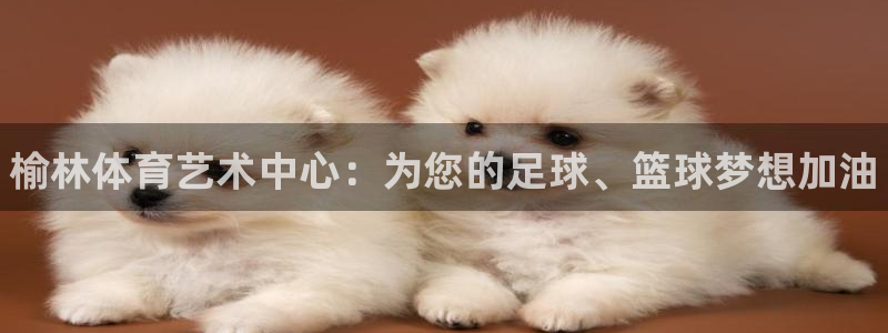米兰体育官网下载招商电话号码：榆林体育艺术中心：为您