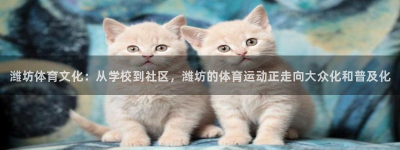 米兰体育官方正版app集团：潍坊体育文化：从学校到社