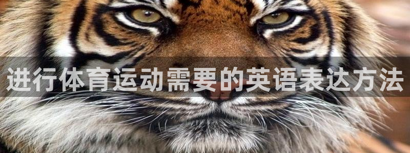 米兰体育官方正版app娱乐是那个系列的台子：进行体育