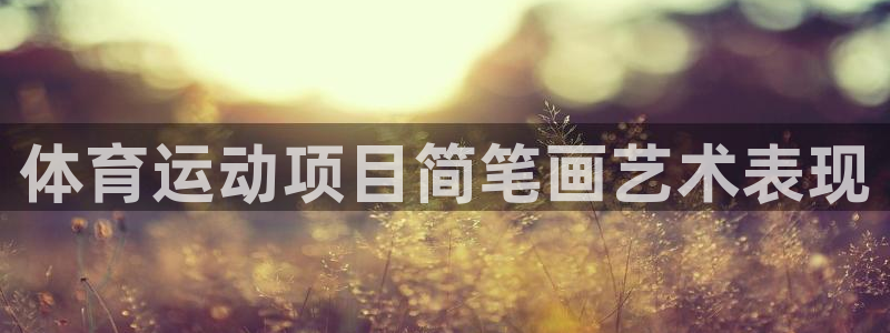 米兰体育官网下载招商电话是多少啊：体育运动项目简笔画