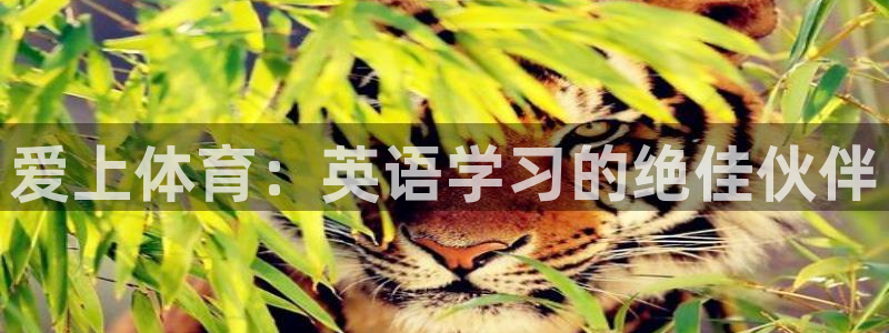 米兰体育官方正版app集团logo：爱上体育：英语学