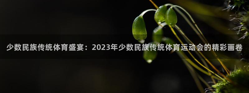 米兰体育官网下载平台注册：少数民族传统体育盛宴：20