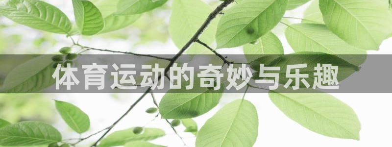 米兰体育官方正版app娱乐首页官网下载：体育运动的奇