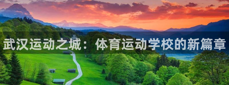 米兰体育官方正版app娱乐下载：武汉运动之城：体育运动学校的