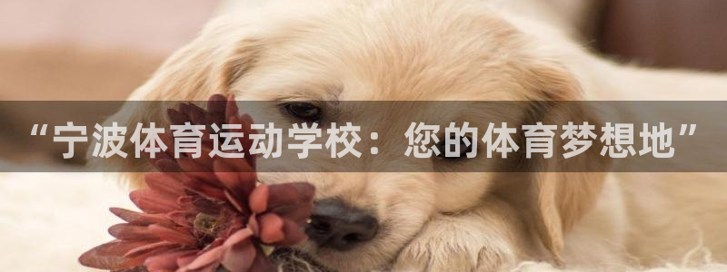 米兰体育官方正版app官方：“宁波体育运动学校：您的