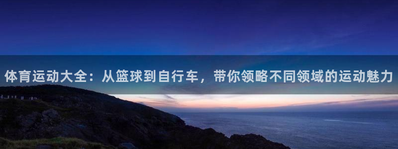 米兰体育官方正版app开户：体育运动大全：从篮球到自