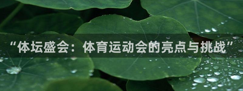 米兰体育官网下载招商电话号码查询是多少：“体坛盛会：