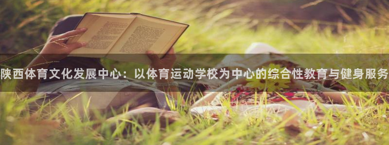 米兰体育官方正版app五金厂：陕西体育文化发展中心：