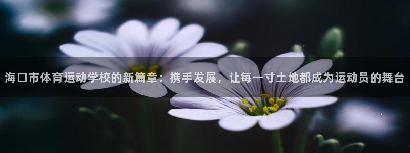 米兰体育官网下载平台注册流程视频：海口市体育运动学校