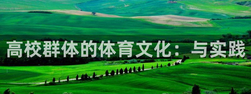 米兰体育官方正版app娱乐：高校群体的体育文化：与实