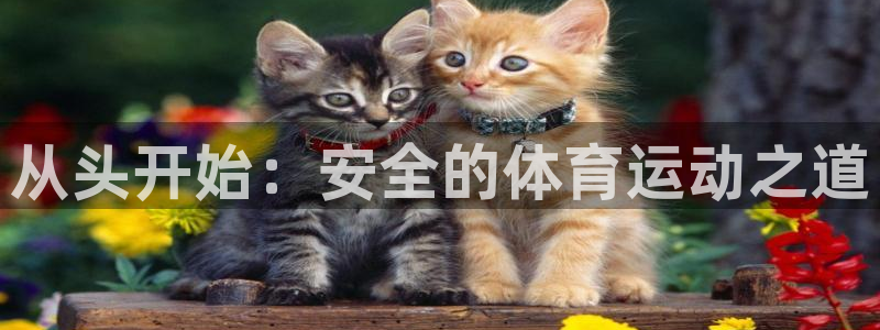 米兰体育官方平台体育：从头开始：安全的体育运动之道