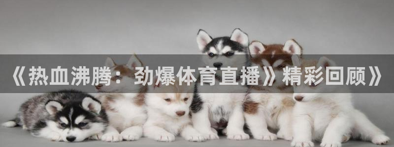 nba直播玩球：《热血沸腾：劲爆体育直播》精彩回顾》