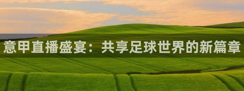 玩球球视频：意甲直播盛宴：共享足球世界的新篇章