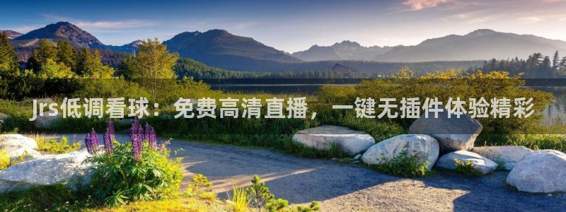 玩球app直播
