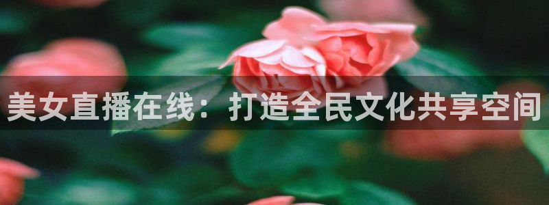 玩球直播app下载