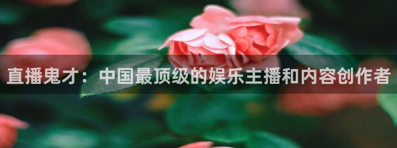玩球直播wqzb：直播鬼才：中国最顶级的娱乐主播和内容创作者