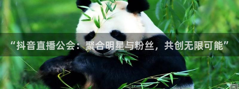 nba玩球直播：“抖音直播公会：聚合明星与粉丝，共创无限可能”